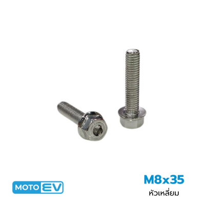 นอตเลส หัวเหลี่ยม M8x35 (10)
